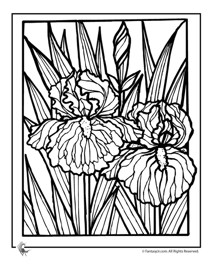 30 Elegant Flower Coloring Pages for Adults Printable 16