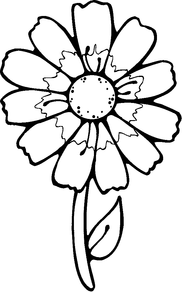 30 Elegant Flower Coloring Pages for Adults Printable 23