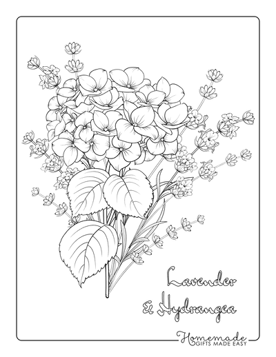 30 Elegant Flower Coloring Pages for Adults Printable 24