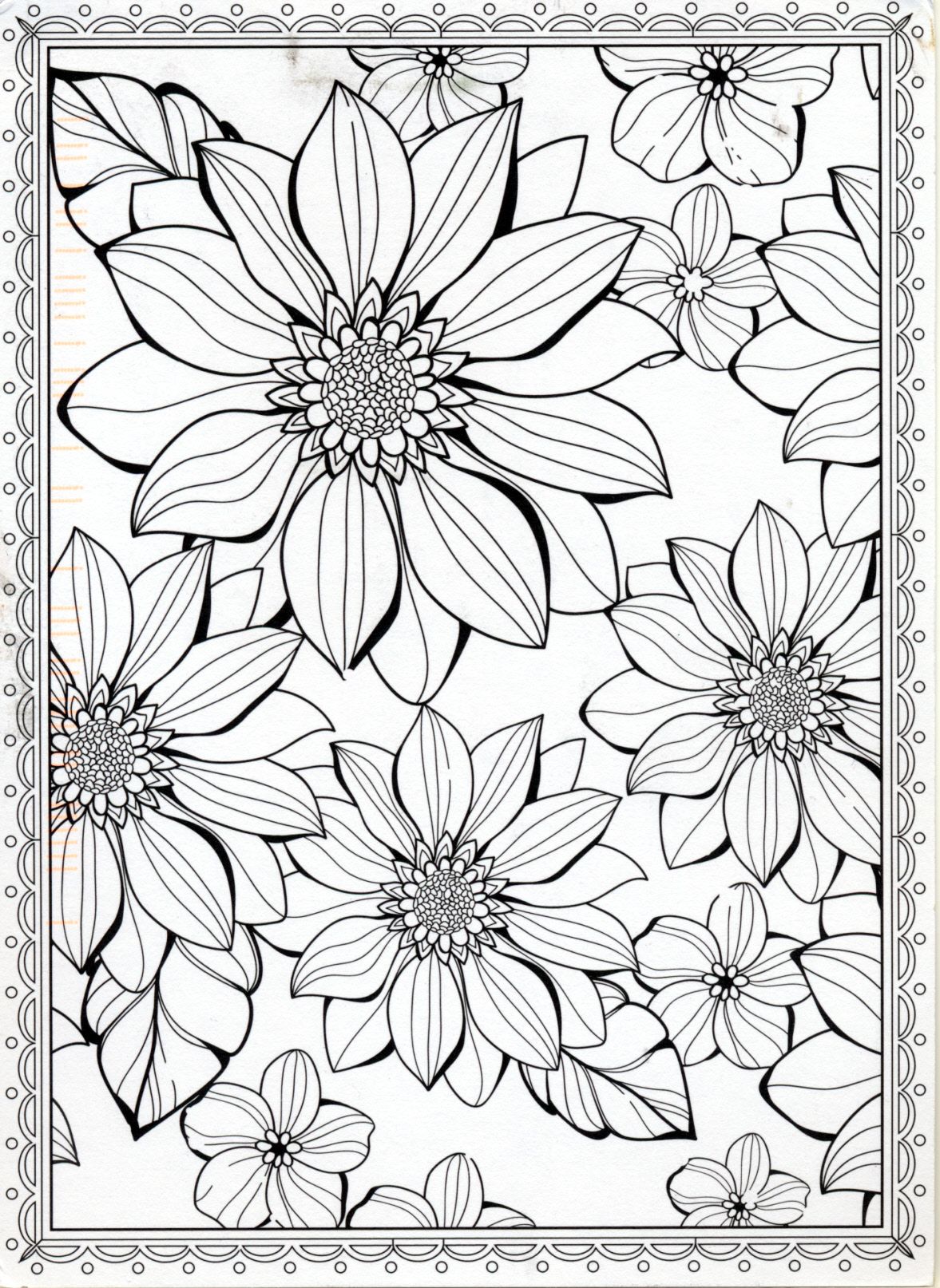 30 Elegant Flower Coloring Pages for Adults Printable 4