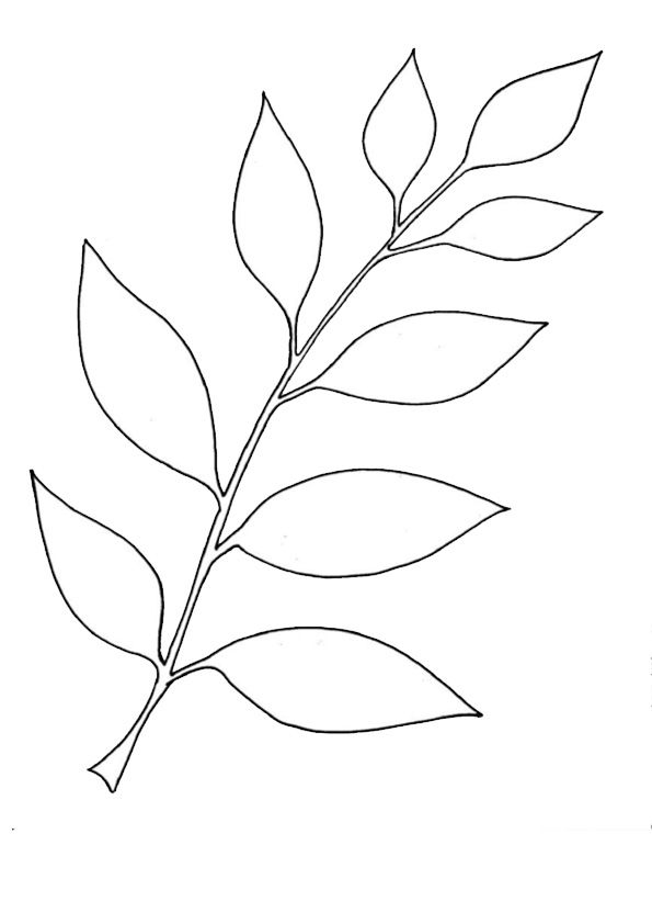 30 Leaf Coloring Pages for Kids Printable 13