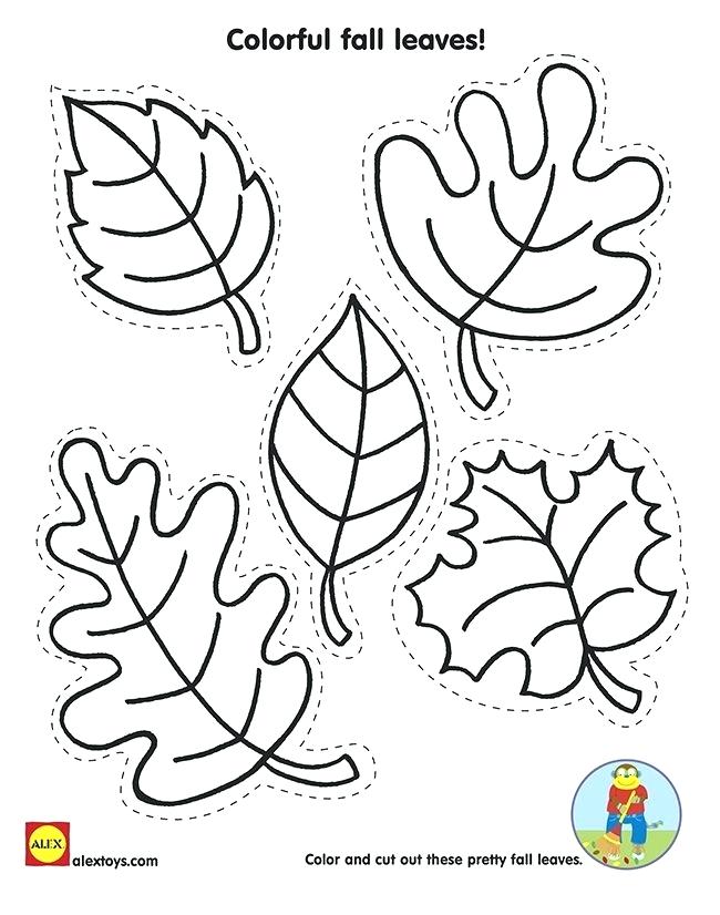 30 Leaf Coloring Pages for Kids Printable 14