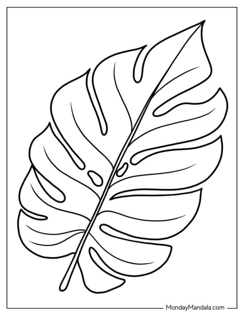 30 Leaf Coloring Pages for Kids Printable 15