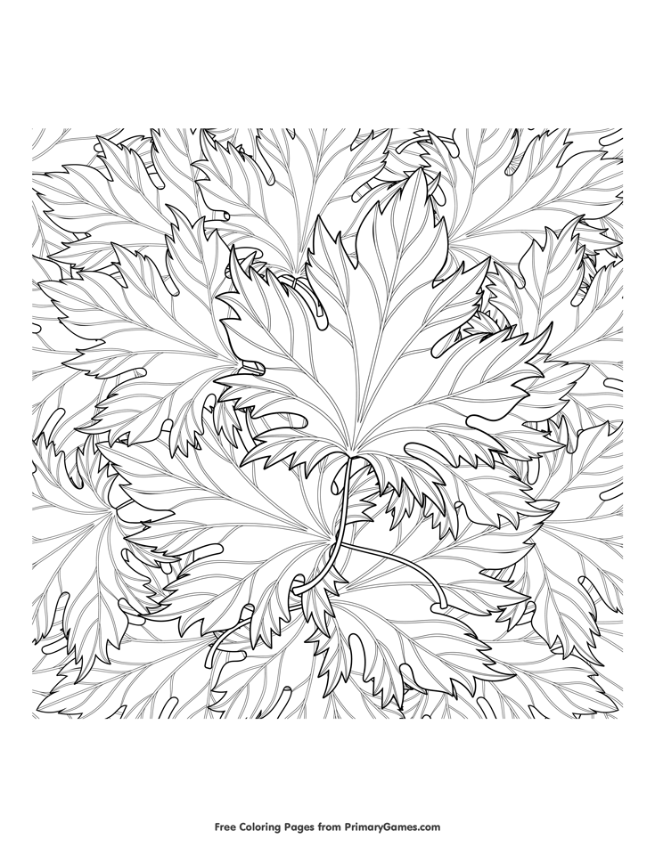 30 Leaf Coloring Pages for Kids Printable 16