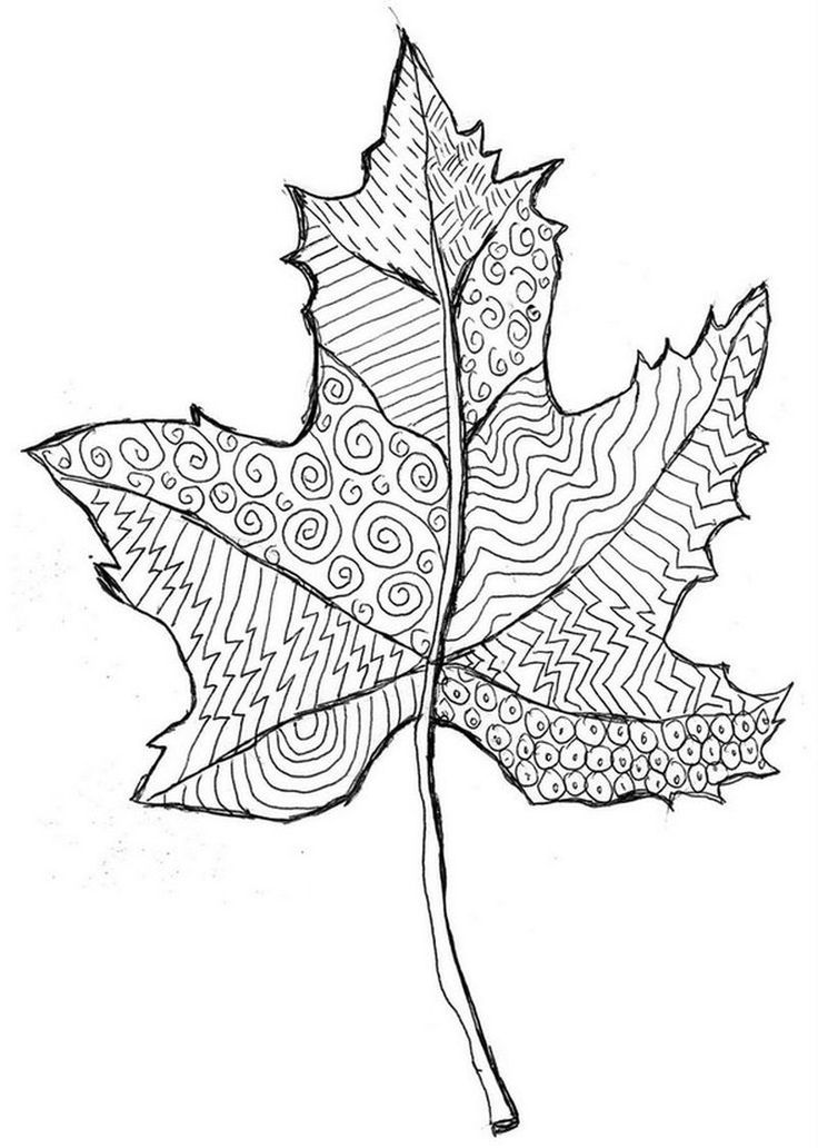 30 Leaf Coloring Pages for Kids Printable 18