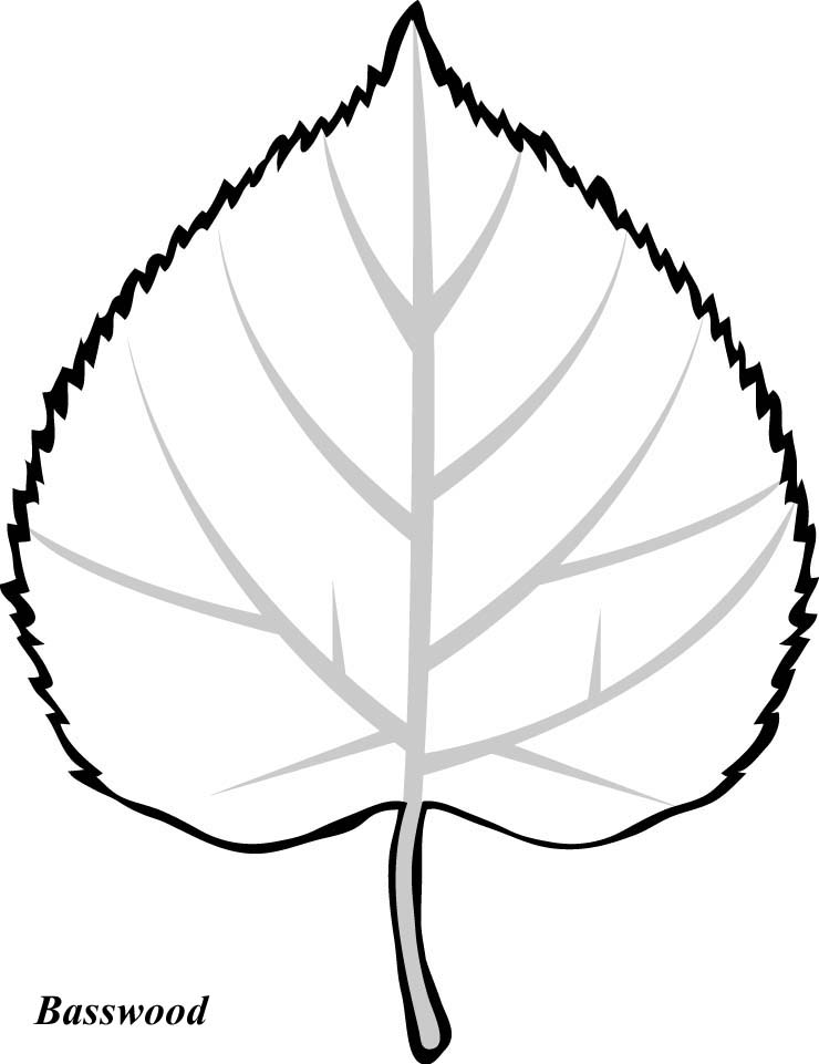 30 Leaf Coloring Pages for Kids Printable 24