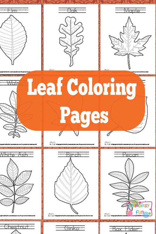 30 Leaf Coloring Pages for Kids Printable 26