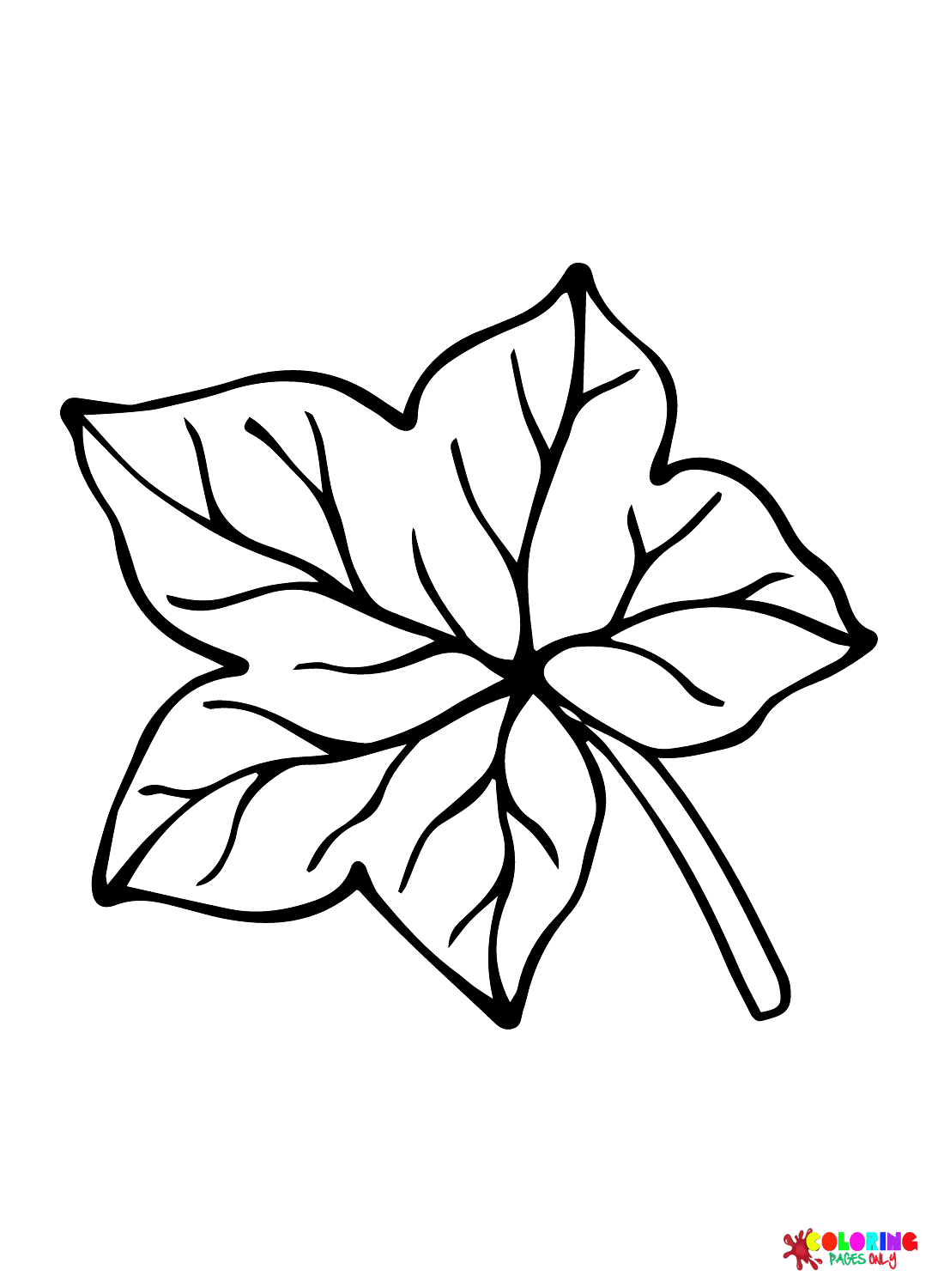 30 Leaf Coloring Pages for Kids Printable 30