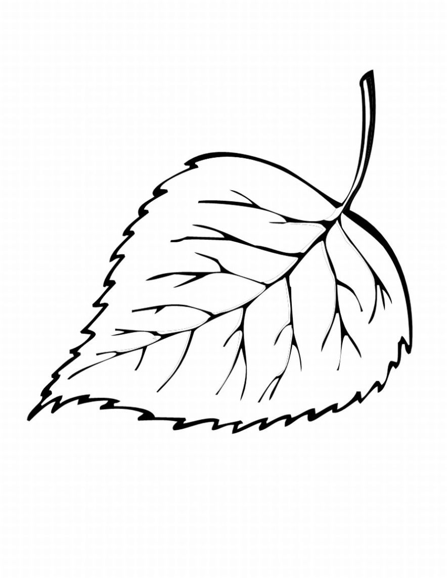 30 Leaf Coloring Pages for Kids Printable 31