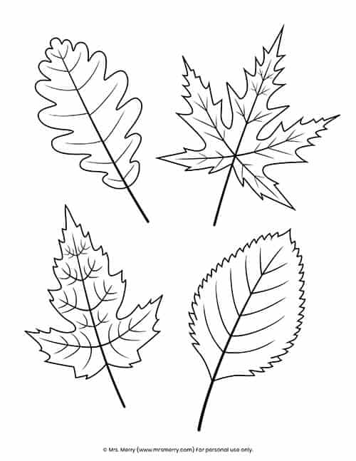 30 Leaf Coloring Pages for Kids Printable 32