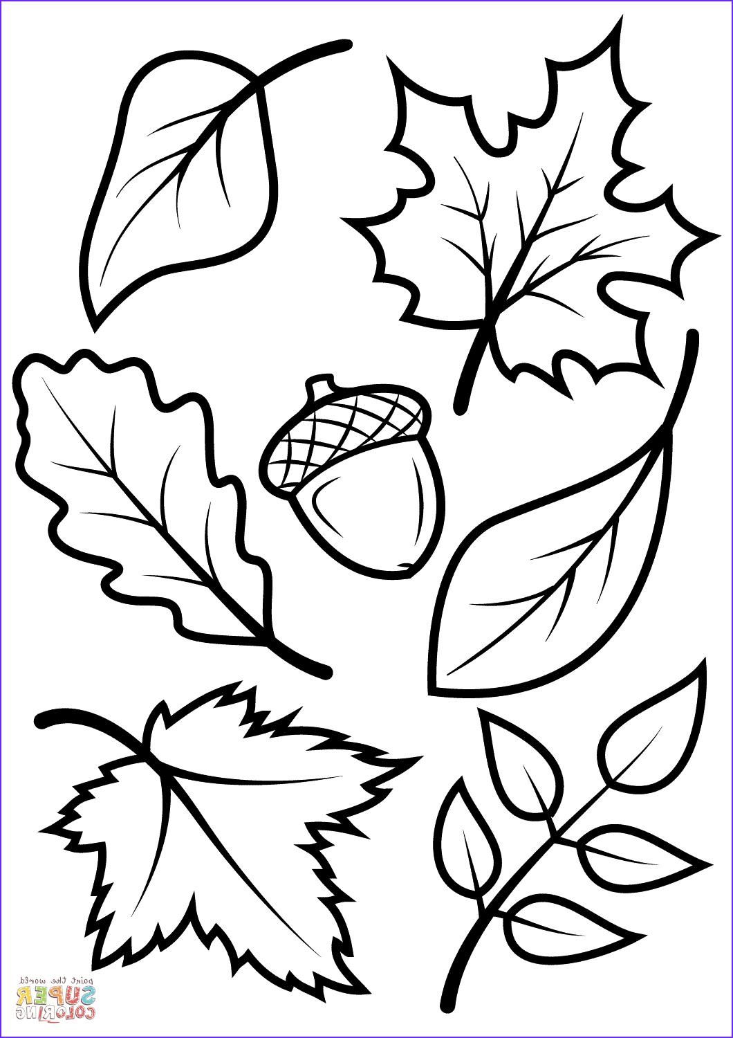 30 Leaf Coloring Pages for Kids Printable 34