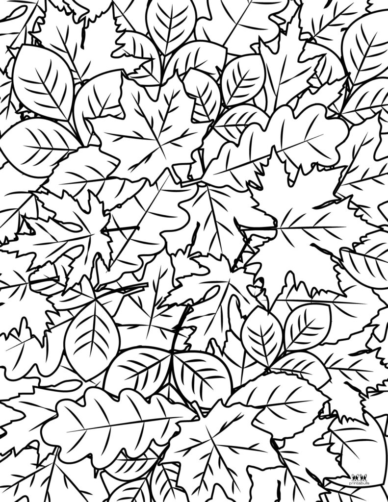 30 Leaf Coloring Pages for Kids Printable 5