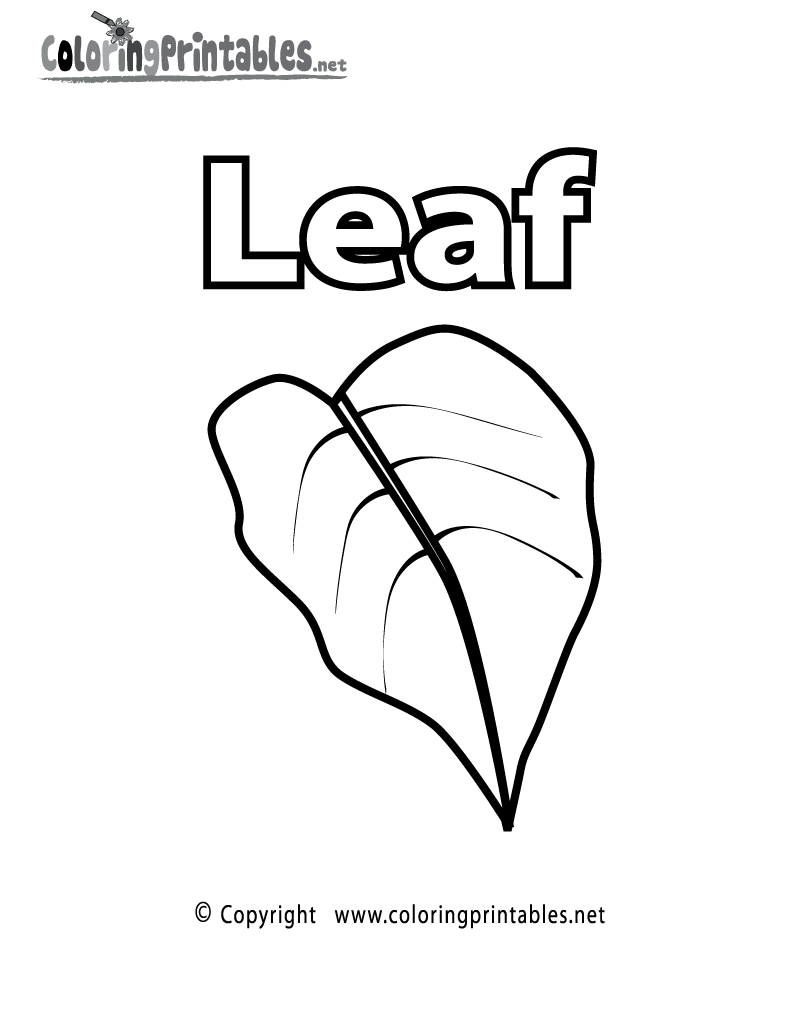 30 Leaf Coloring Pages for Kids Printable 6