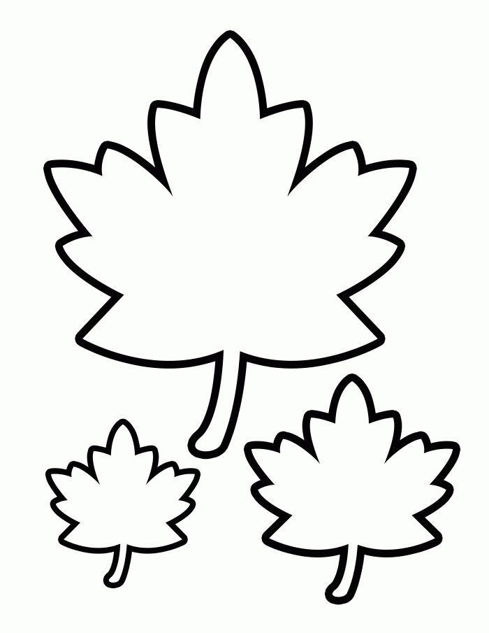 30 Leaf Coloring Pages for Kids Printable 9