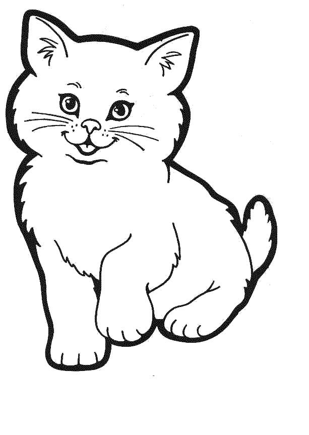 31 Cat Equipment Coloring Pages Printable 29