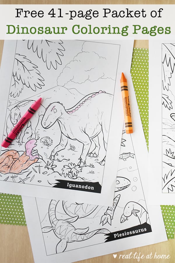 31 Ferocious Baryonyx Coloring Page Printable 19