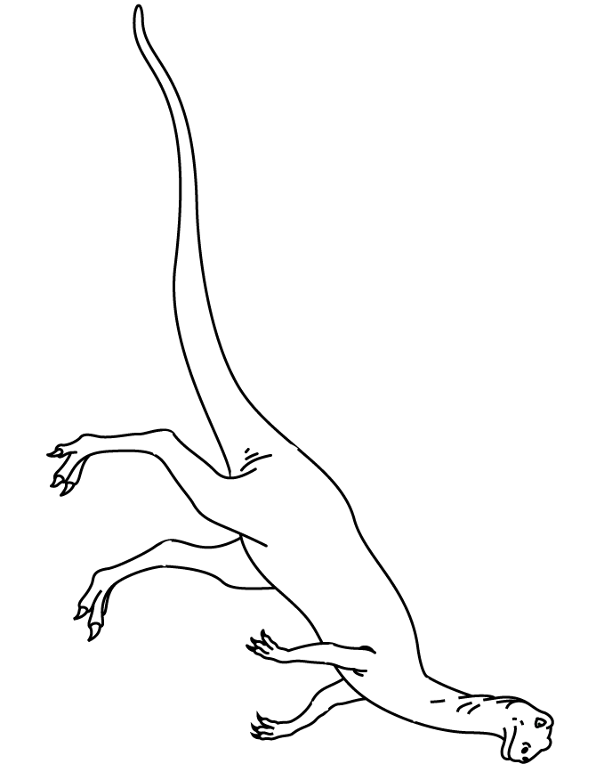 31 Ferocious Baryonyx Coloring Page Printable 25