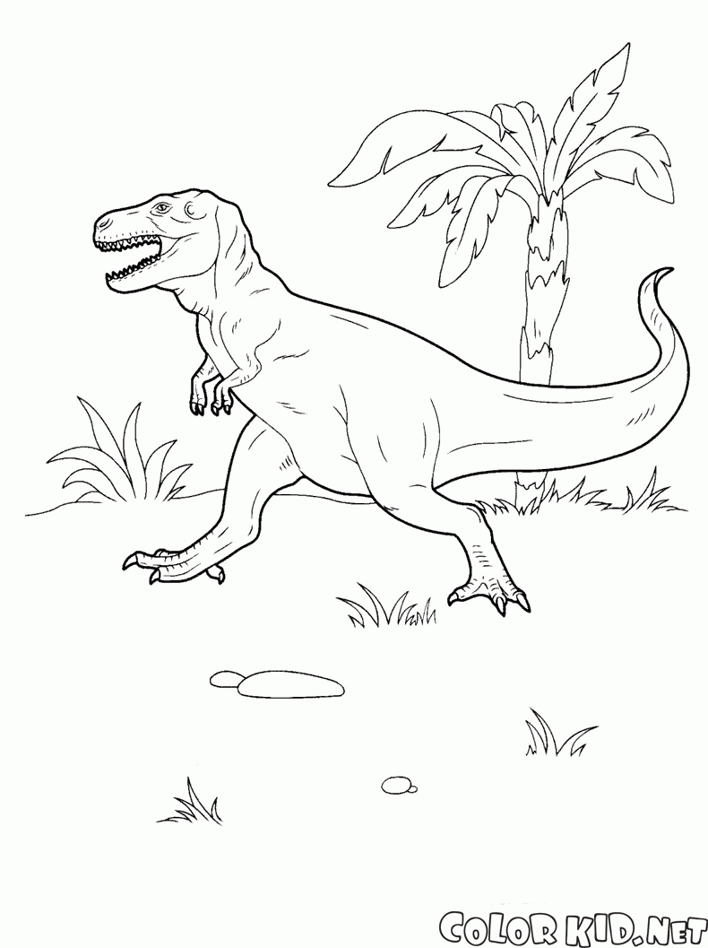 31 Ferocious Baryonyx Coloring Page Printable 29