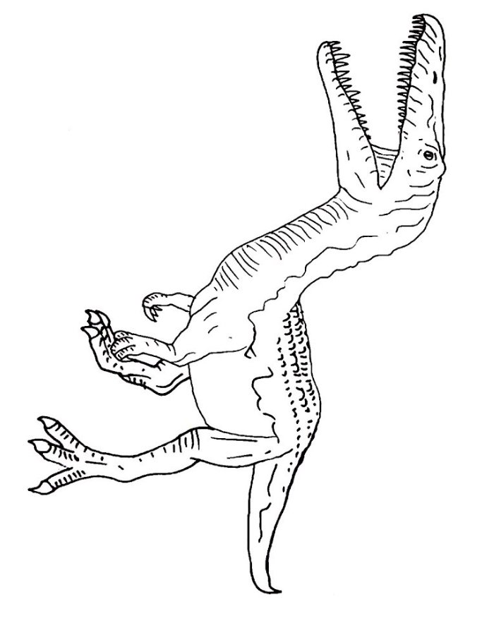 31 Ferocious Baryonyx Coloring Page Printable 3