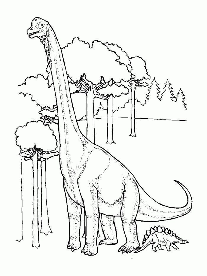 31 Ferocious Baryonyx Coloring Page Printable 7