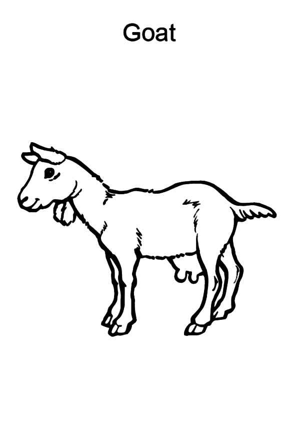 31 Goats Coloring Pages Printable 10