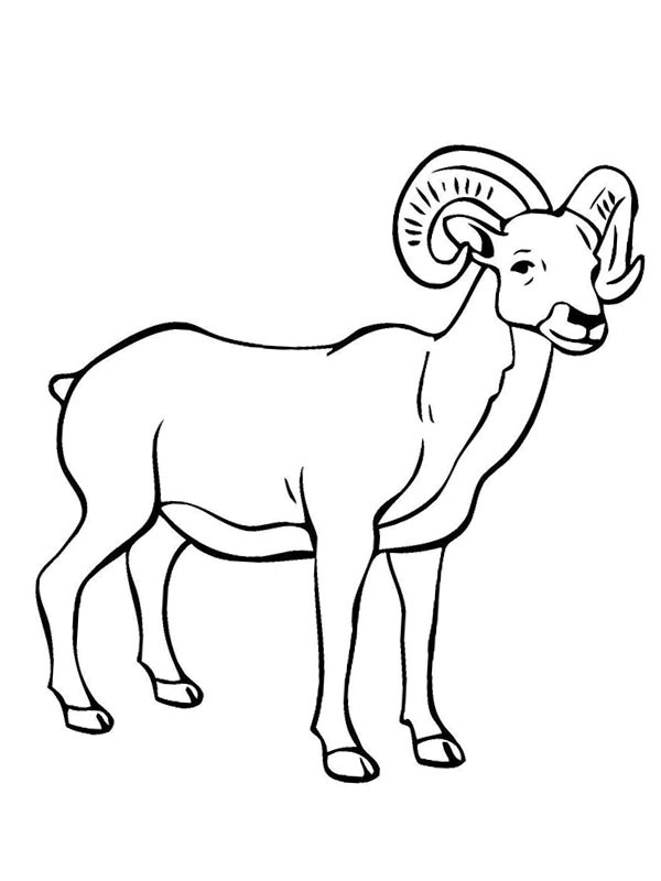 31 Goats Coloring Pages Printable 11