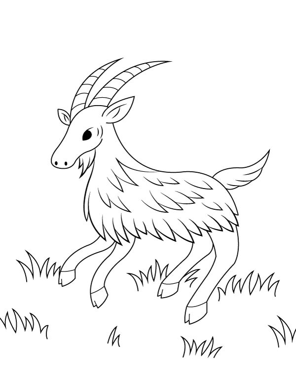 31 Goats Coloring Pages Printable 17