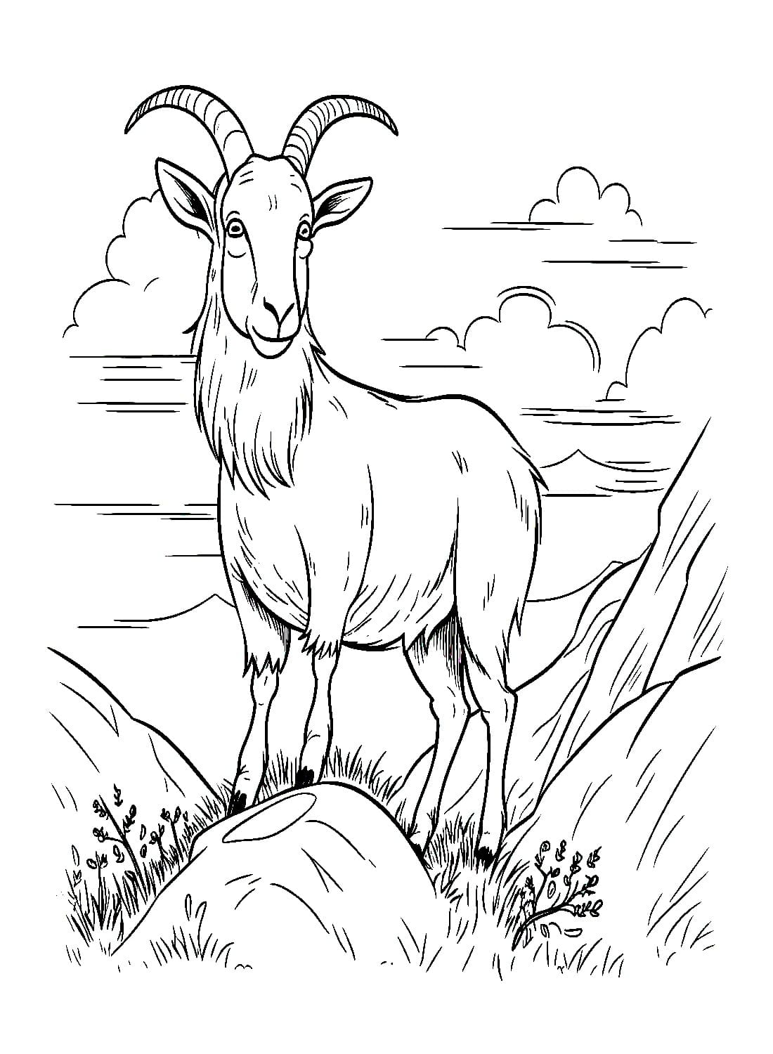 31 Goats Coloring Pages Printable 22