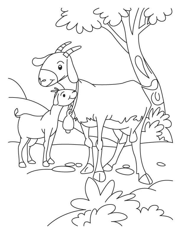 31 Goats Coloring Pages Printable 34