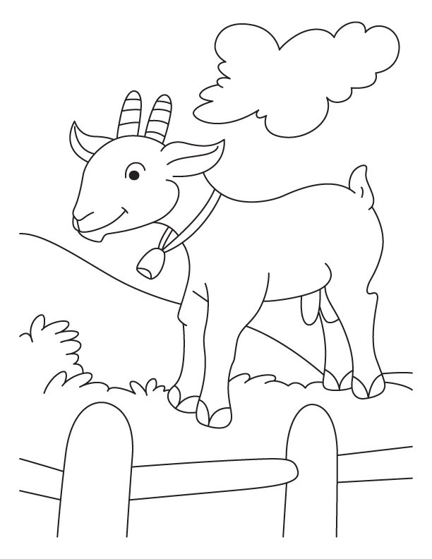 31 Goats Coloring Pages Printable 6