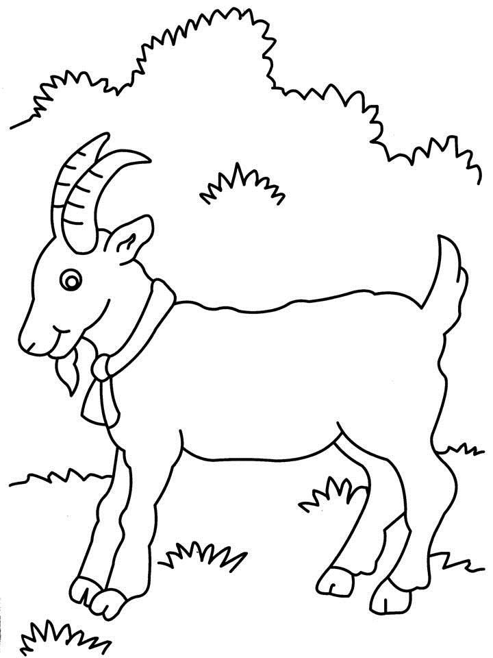 31 Goats Coloring Pages Printable 9