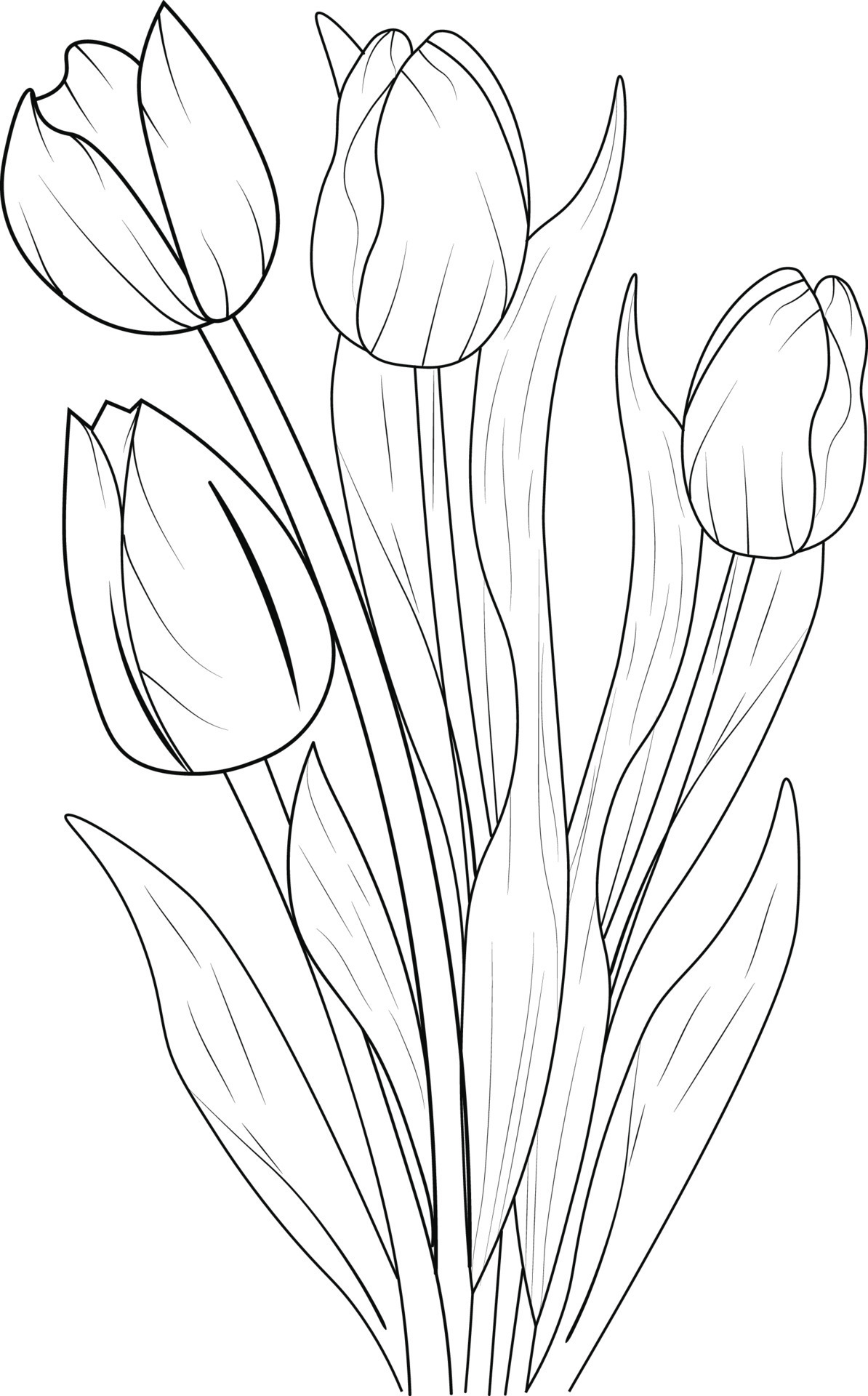 31 Lovely Tulip Coloring Pages Printable 14