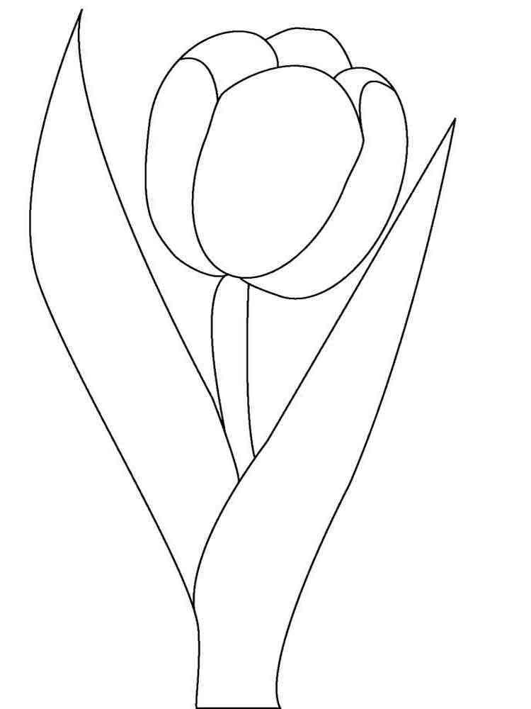 31 Lovely Tulip Coloring Pages Printable 16