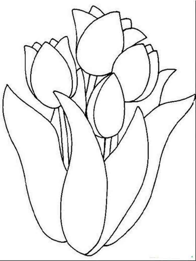 31 Lovely Tulip Coloring Pages Printable 20