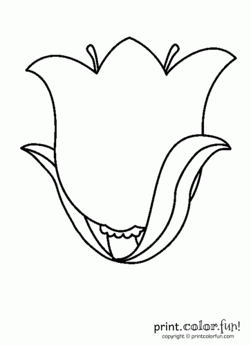 31 Lovely Tulip Coloring Pages Printable 23