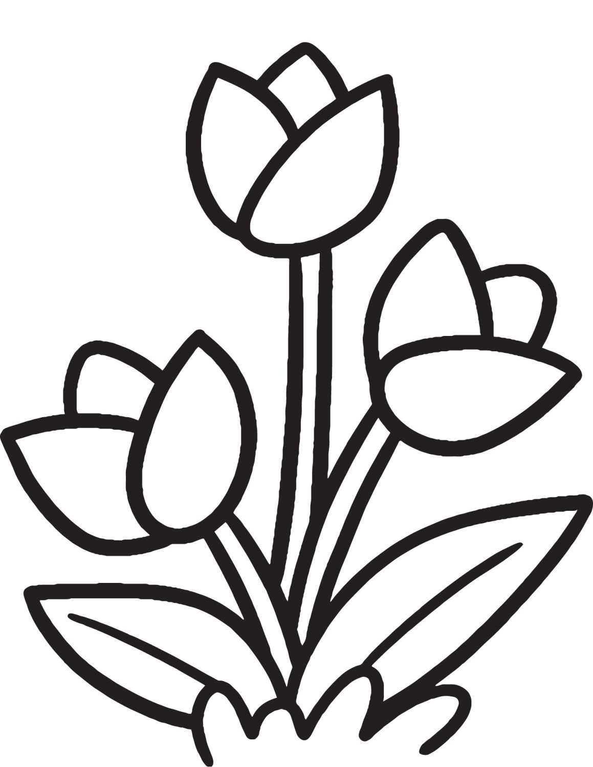 31 Lovely Tulip Coloring Pages Printable 24