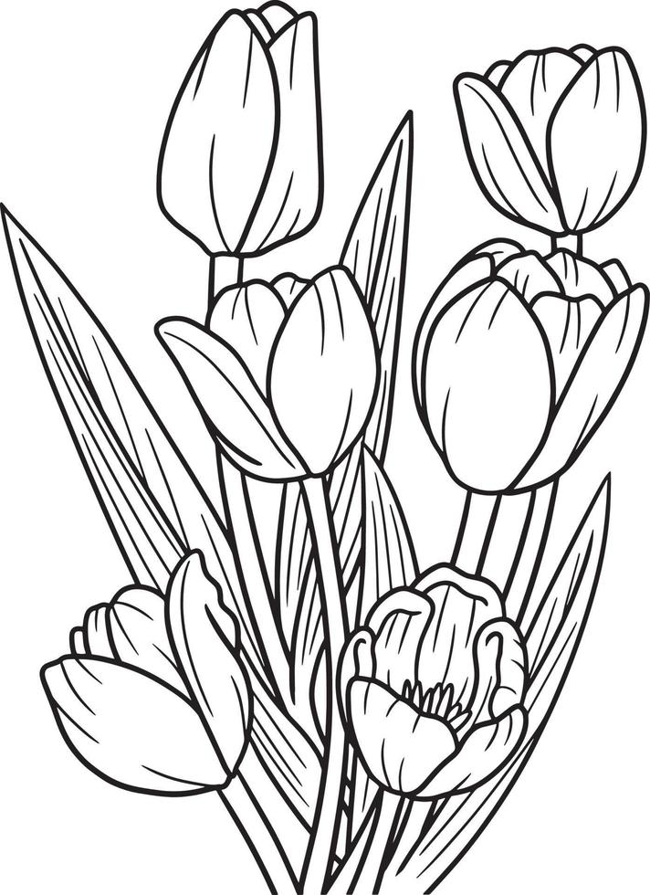 31 Lovely Tulip Coloring Pages Printable 25