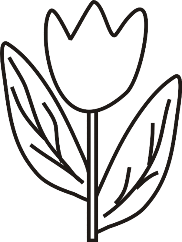 31 Lovely Tulip Coloring Pages Printable 29