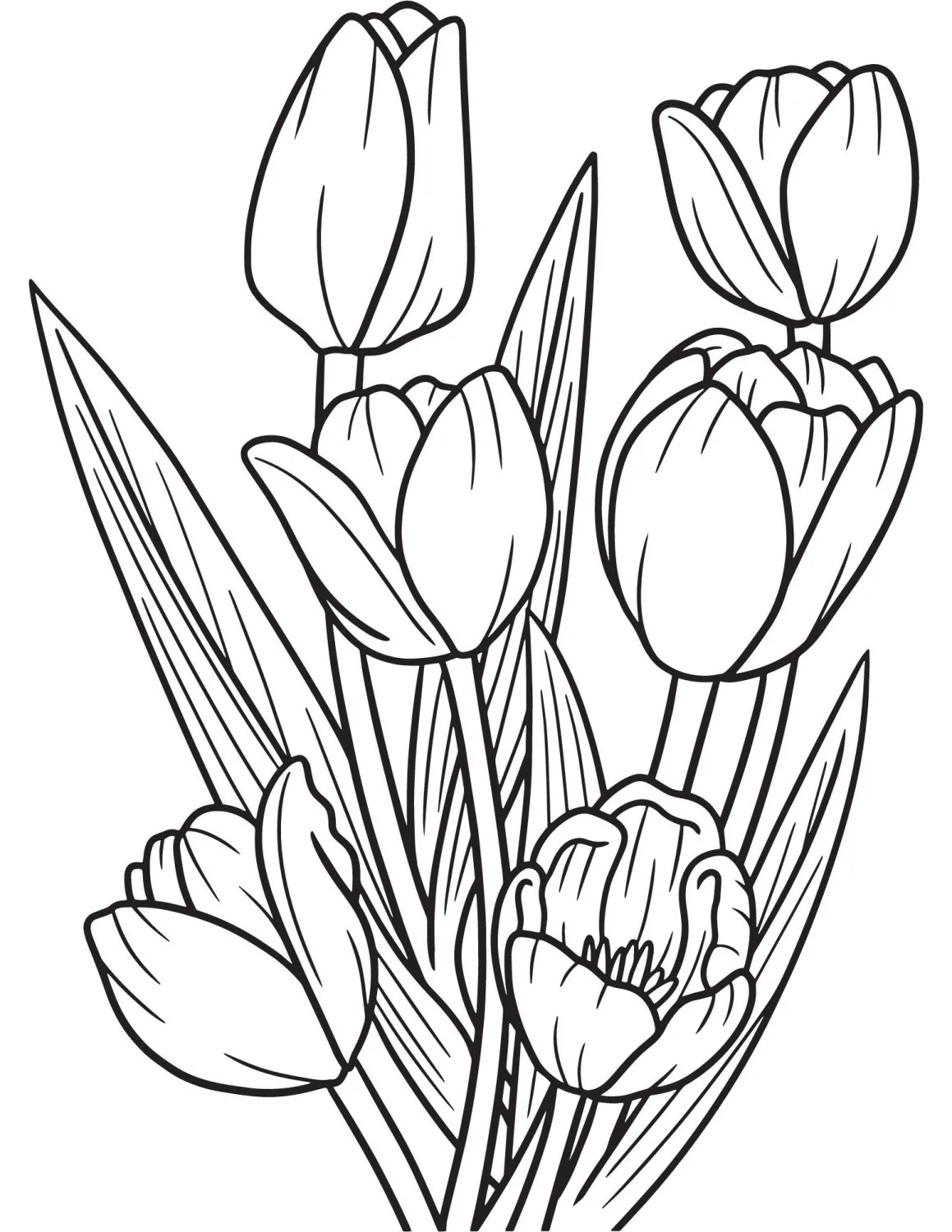 31 Lovely Tulip Coloring Pages Printable 30