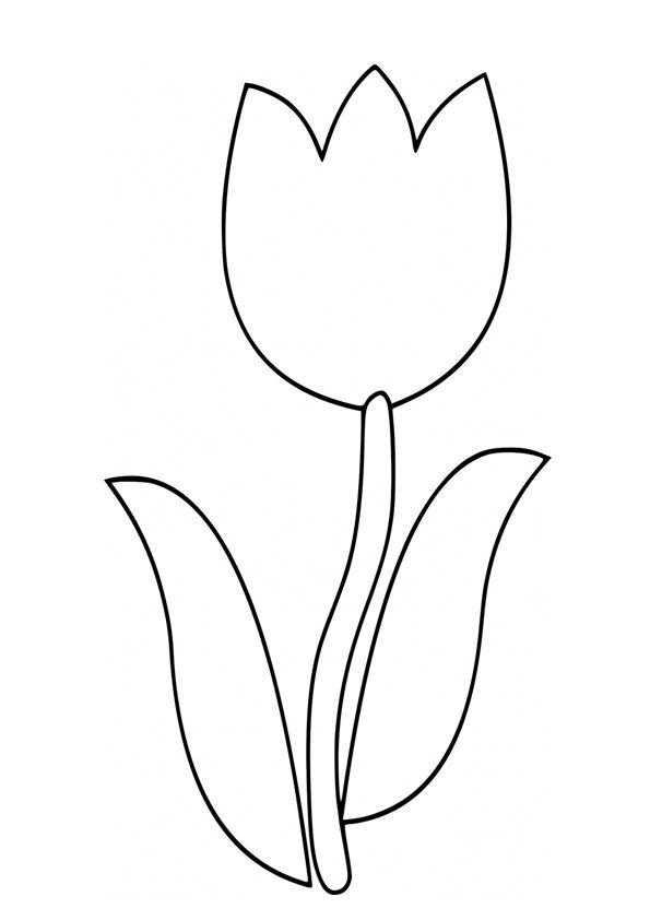 31 Lovely Tulip Coloring Pages Printable 31