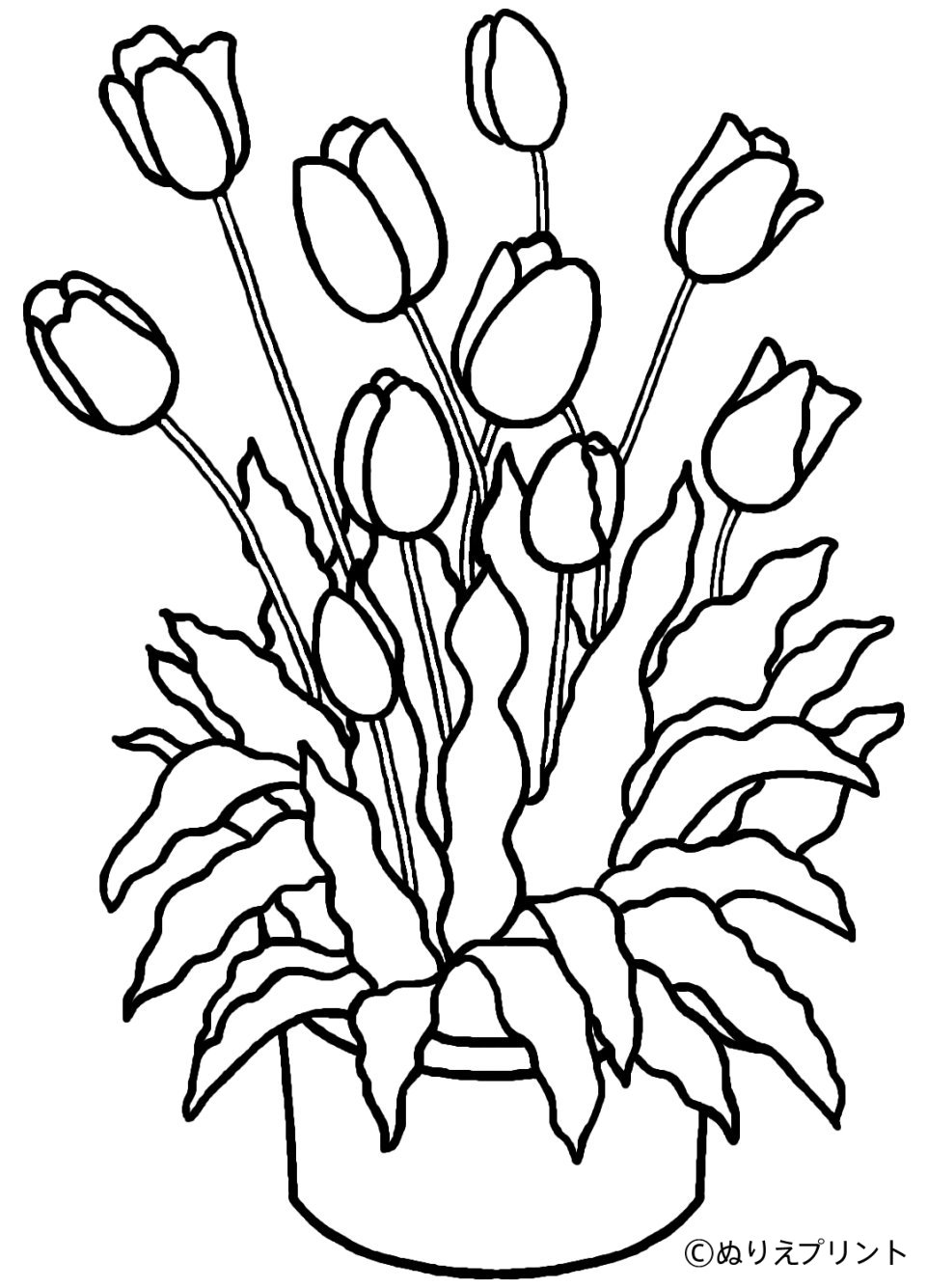 31 Lovely Tulip Coloring Pages Printable 33