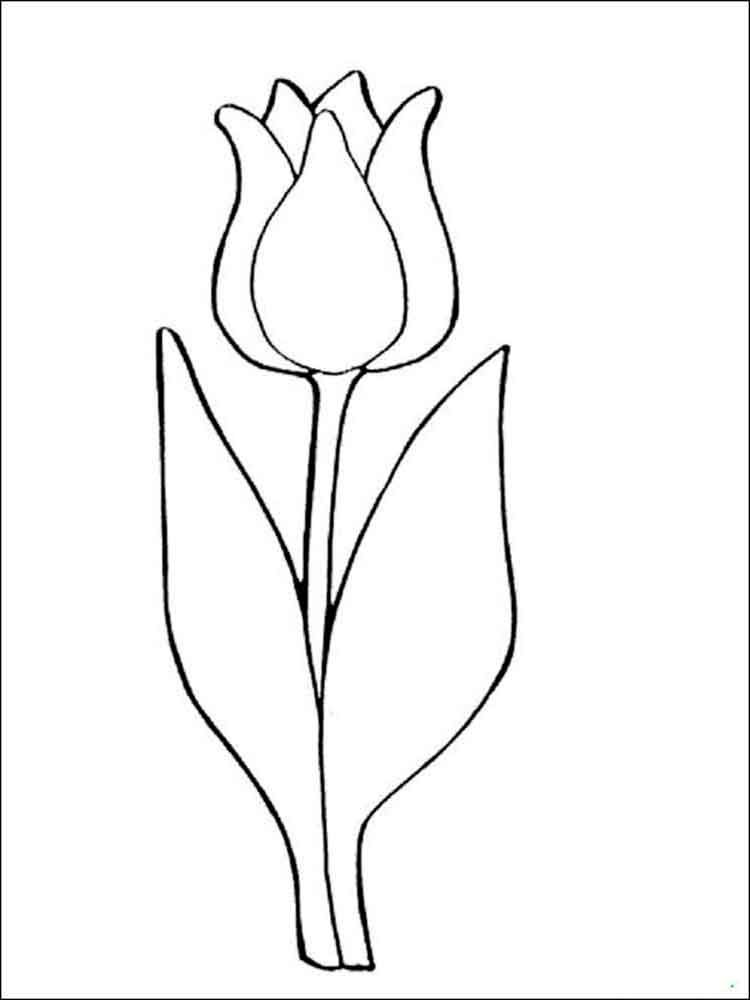 31 Lovely Tulip Coloring Pages Printable 5