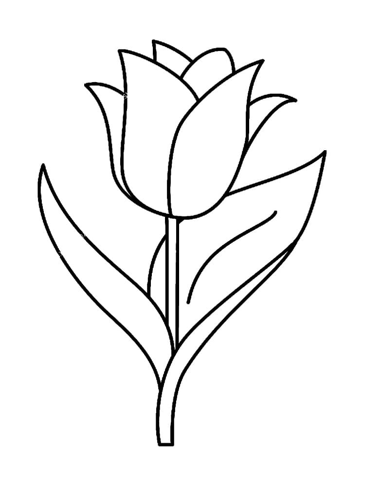 31 Lovely Tulip Coloring Pages Printable 7