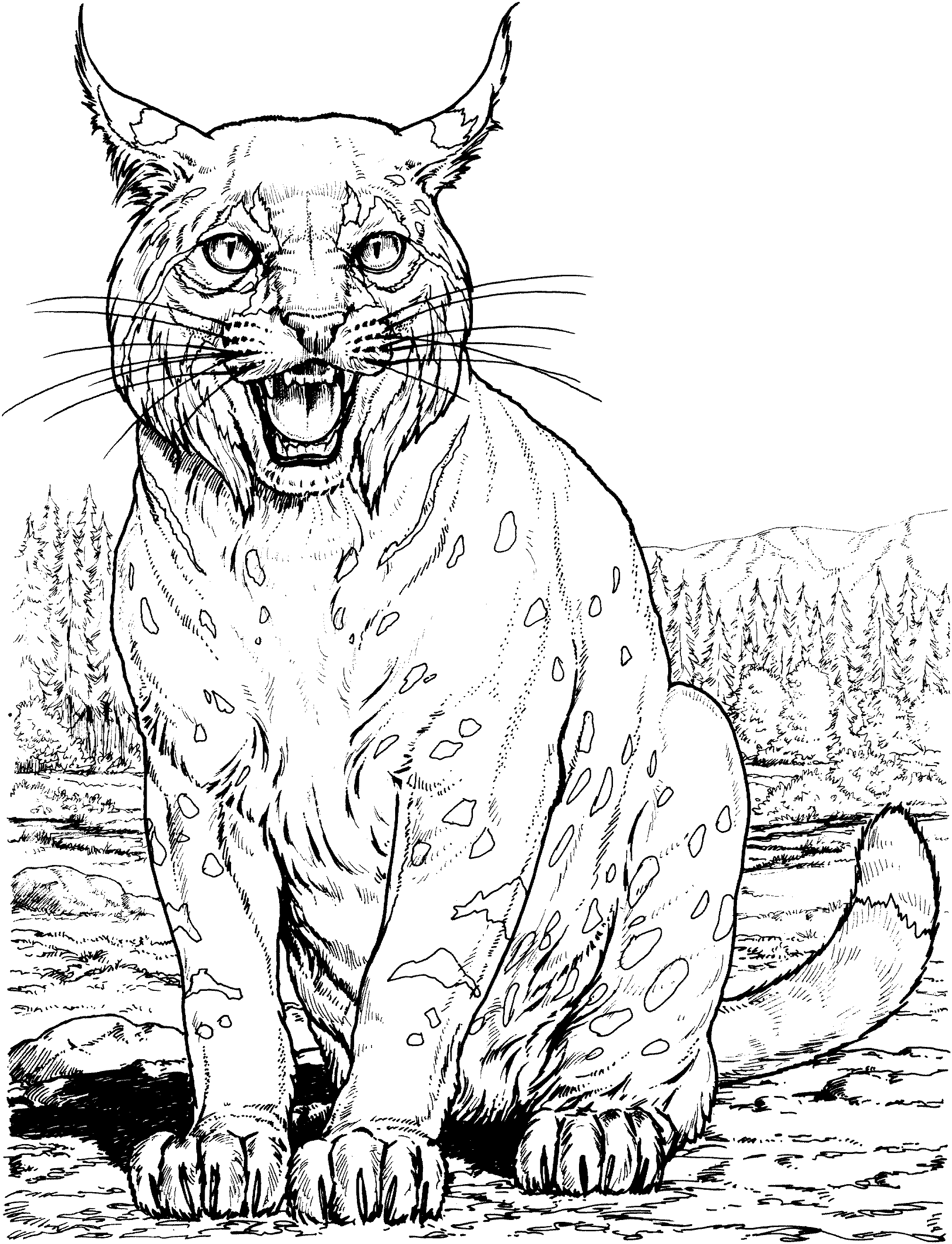 31 Wild Cat Coloring Pages Printable 1