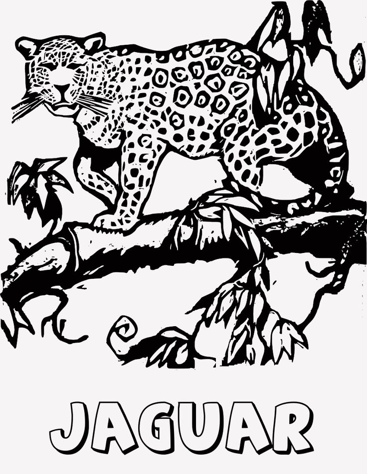 31 Wild Cat Coloring Pages Printable 10