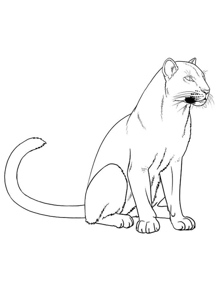 31 Wild Cat Coloring Pages Printable 18