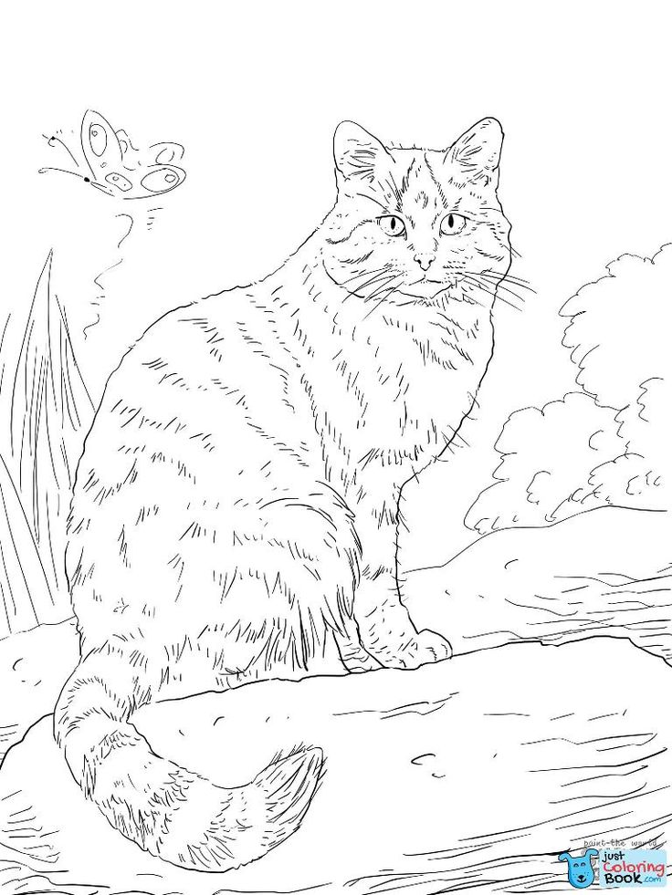 31 Wild Cat Coloring Pages Printable 19