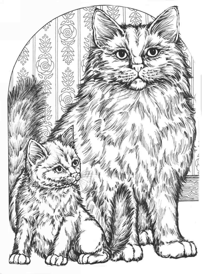 31 Wild Cat Coloring Pages Printable 21