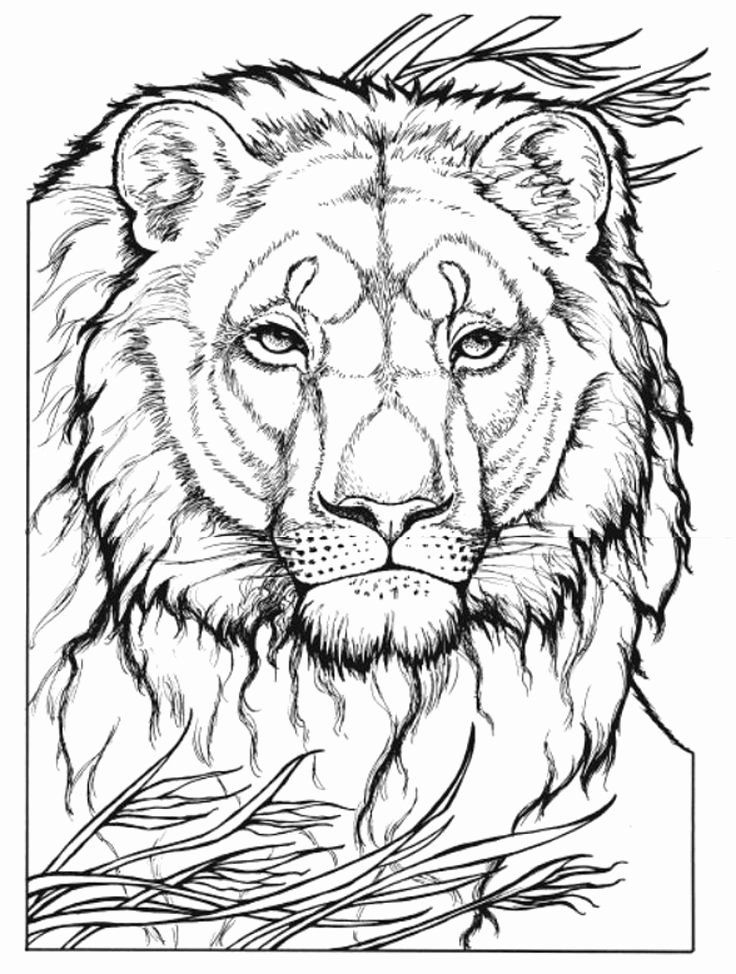 31 Wild Cat Coloring Pages Printable 26