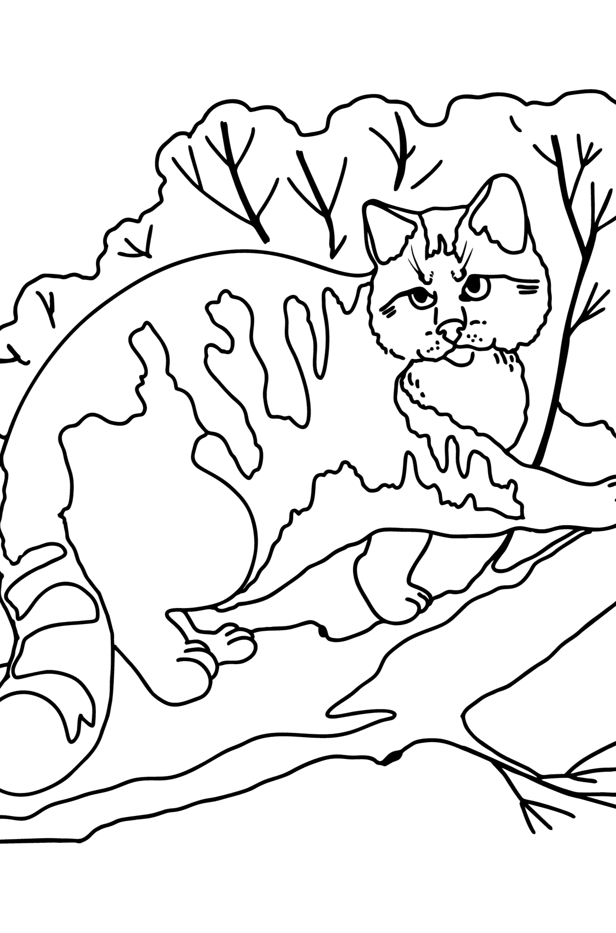 31 Wild Cat Coloring Pages Printable 27